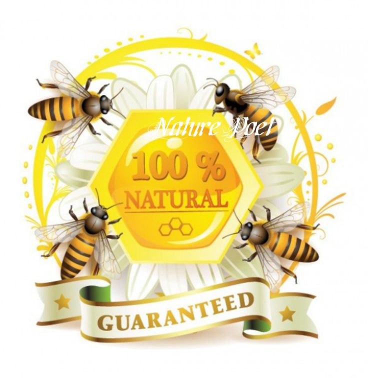 Honey label template PSD Honey label template PSD